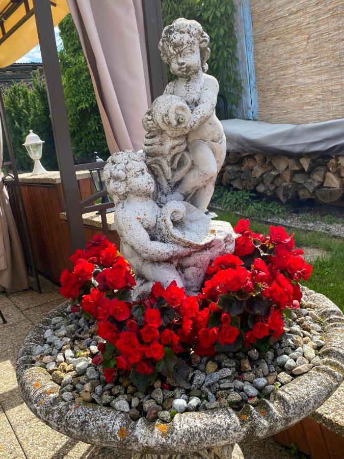 Penzión Vila Petra Bed&Breakfast Velky Slavkov Exterior foto